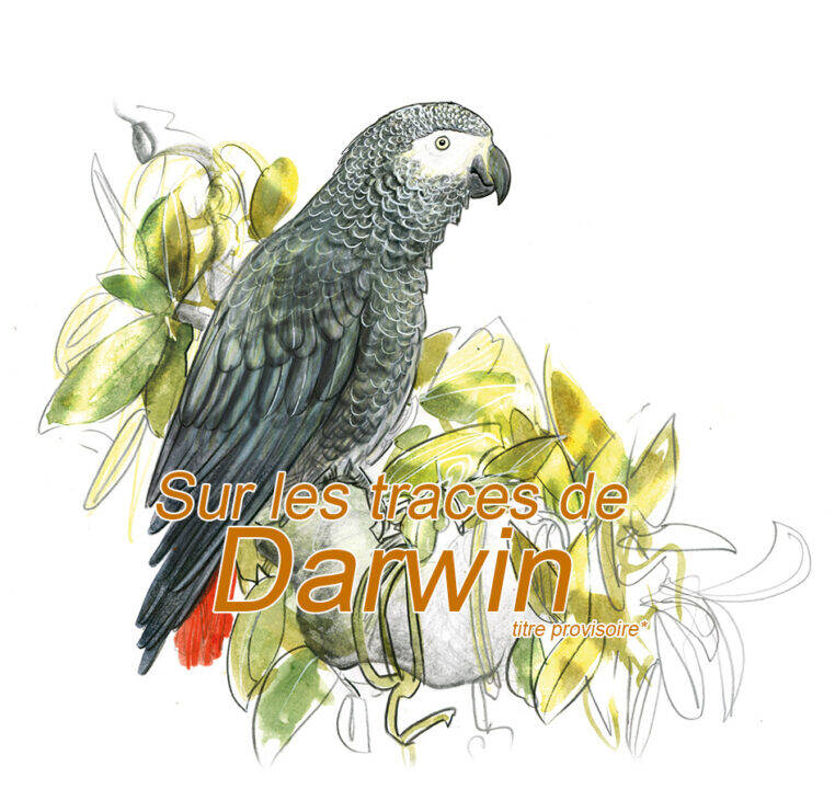 鹦鹉的修图描述已自动生成