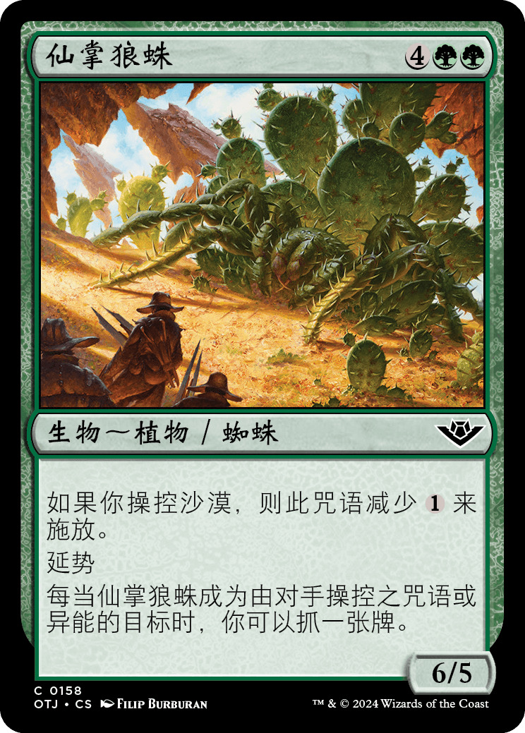 仙掌狼蛛