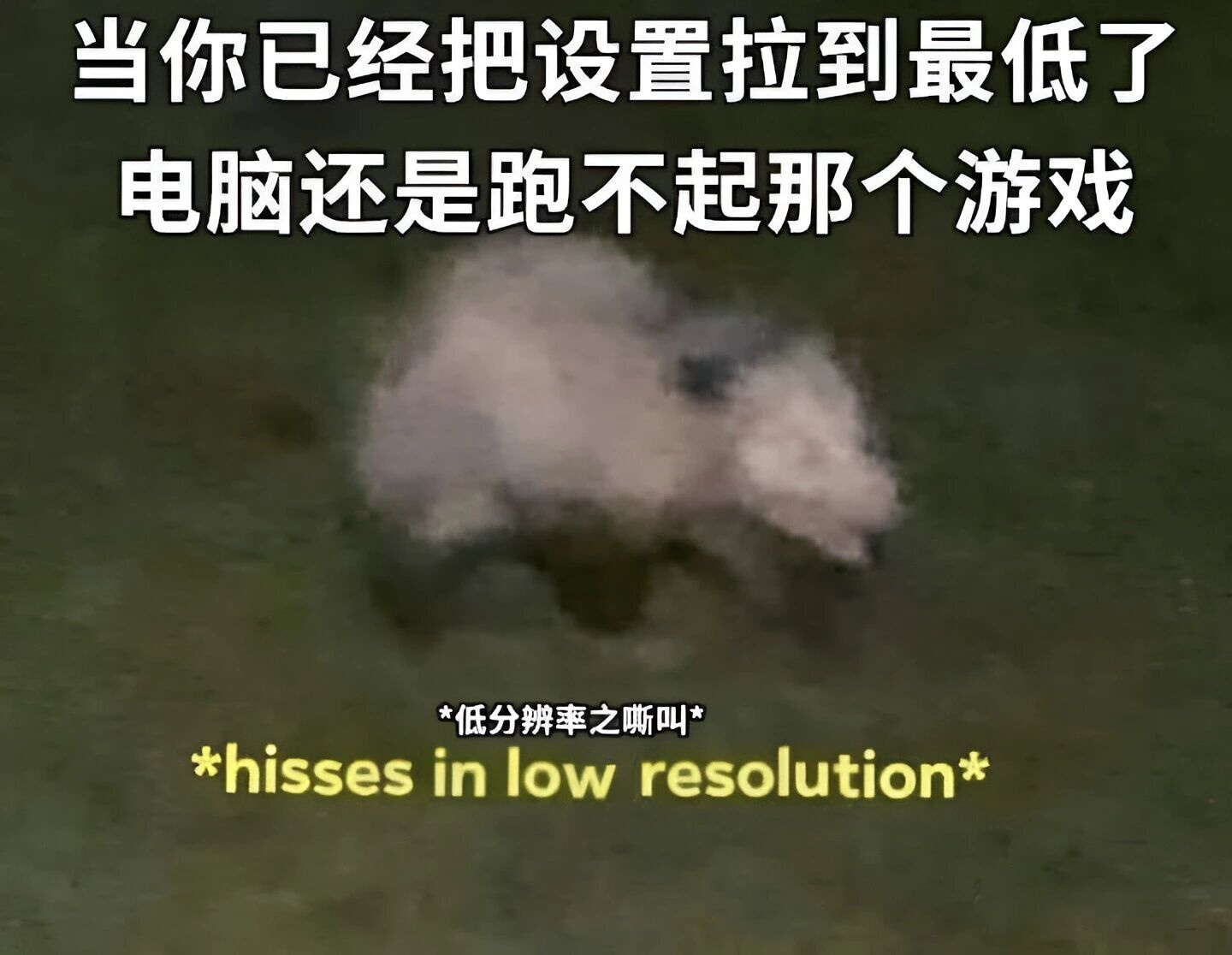 【MEME时间 Vol.8】谢谢，这完全就是我自己，你是怎么知道的？-白渡鸦-旅法师营地