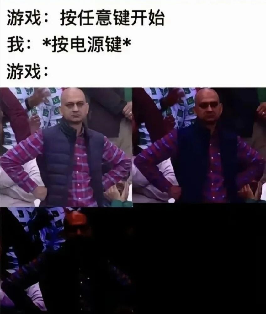【MEME时间 Vol.17】可爱小咪为你送来了鲜花,希望你有美好的一天-白渡鸦-旅法师营地