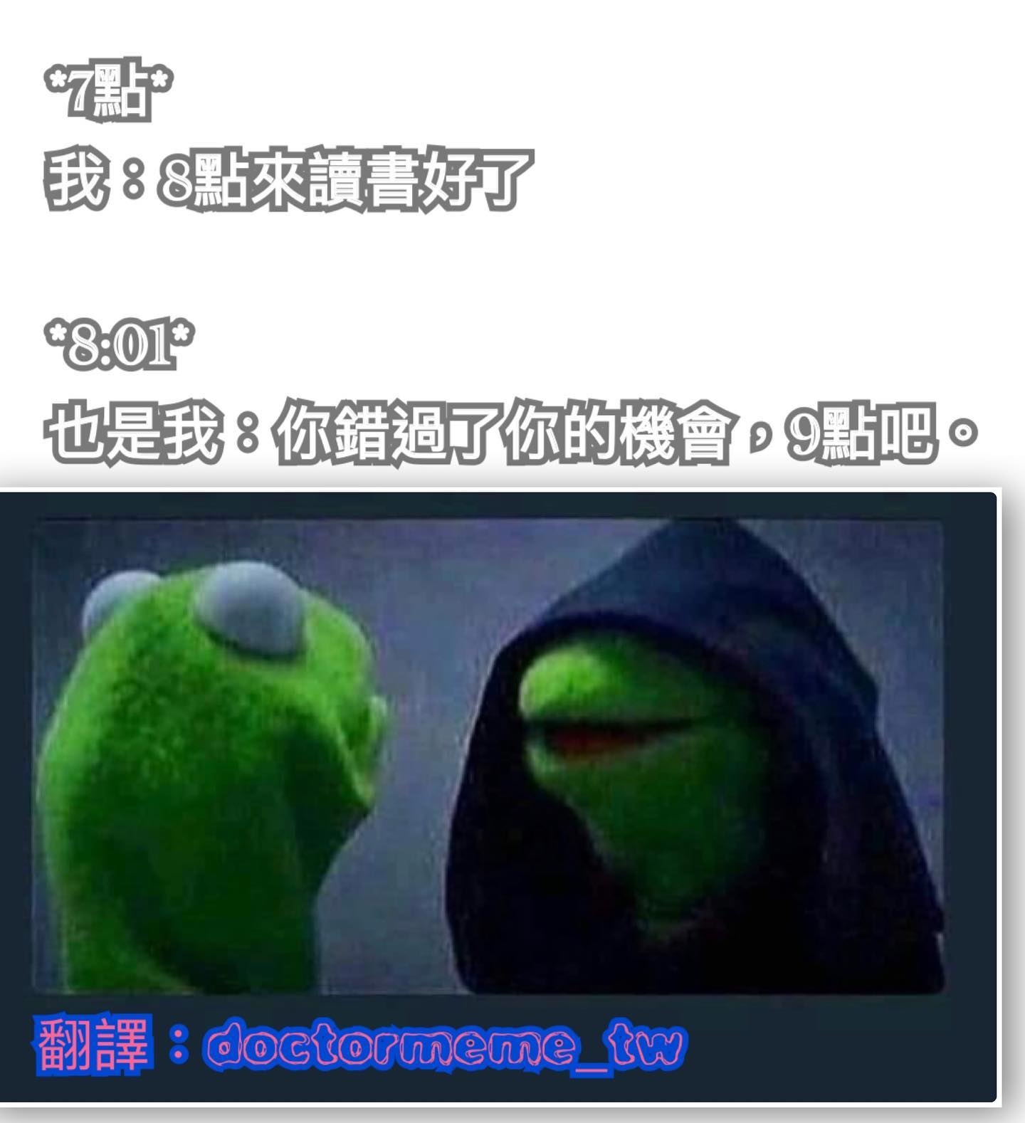 【MEME时间 Vol.17】可爱小咪为你送来了鲜花,希望你有美好的一天-白渡鸦-旅法师营地
