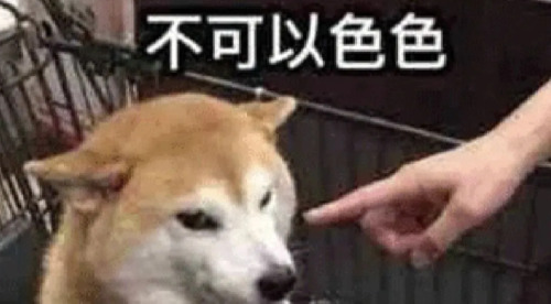 旅法师营地