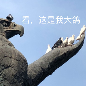 用户头像